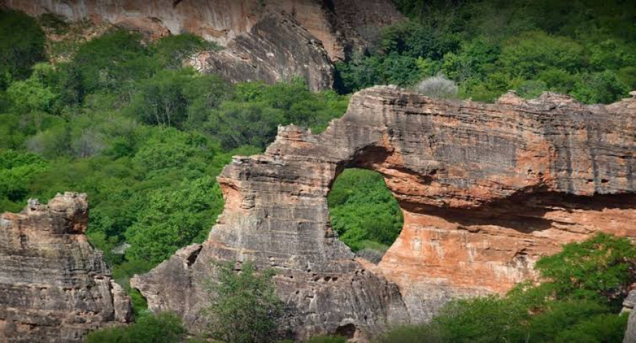 Três parques nacionais piauienses em lista de melhores do Brasil para astroturismo