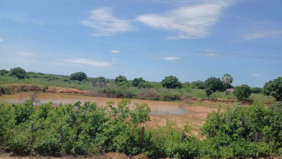 Seca verde no Piauí. | Foto: Reprodução/Semarh