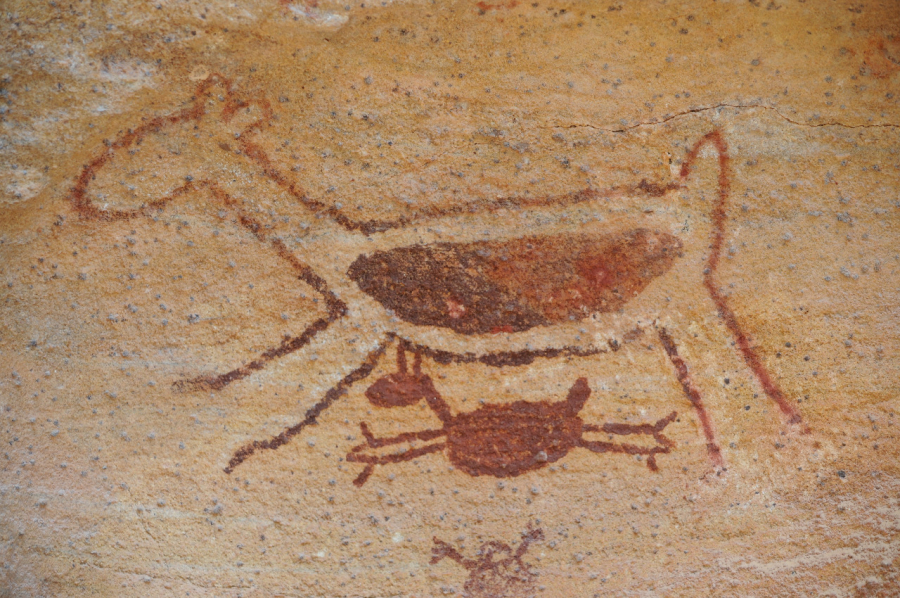 Pinturas rupestres no Parque Nacional Serra da Capivara. | Foto: Divulgação