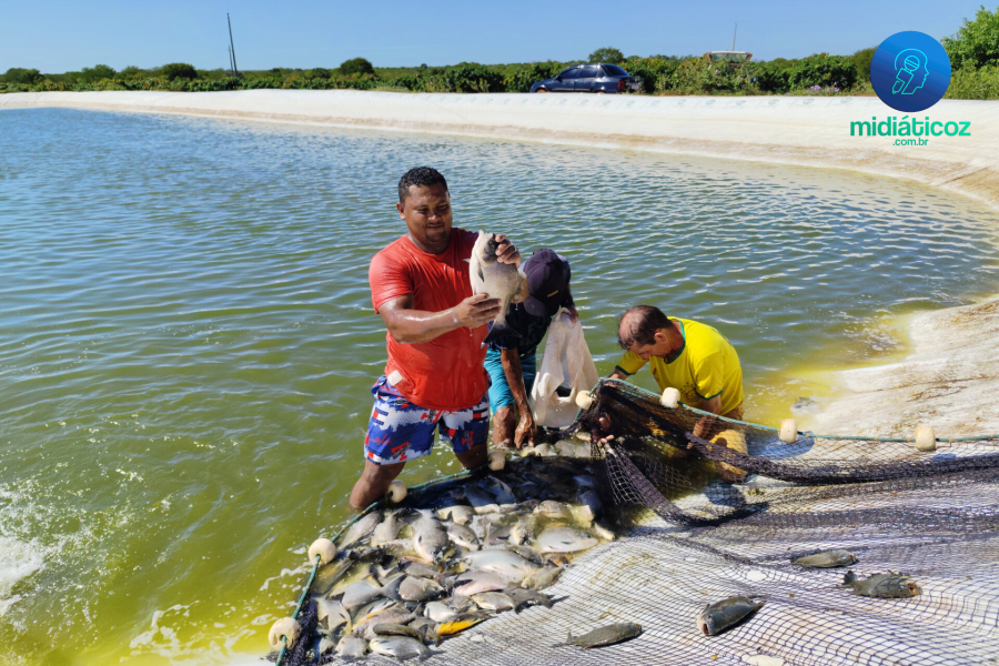 Colônia de Pescadores de Conceição do Canindé abastece 12 municípios durante Semana Santa. | © Portal Midiáticoz