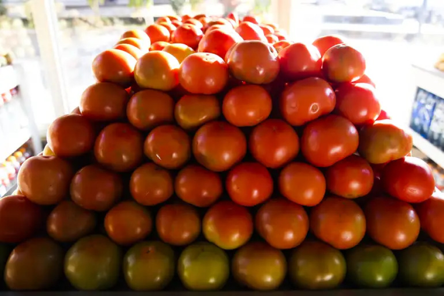 Preço do tomate dispara em 80% e puxa alta do IPCA-15 em abril. | Foto: Reprodução/Valter Campanato