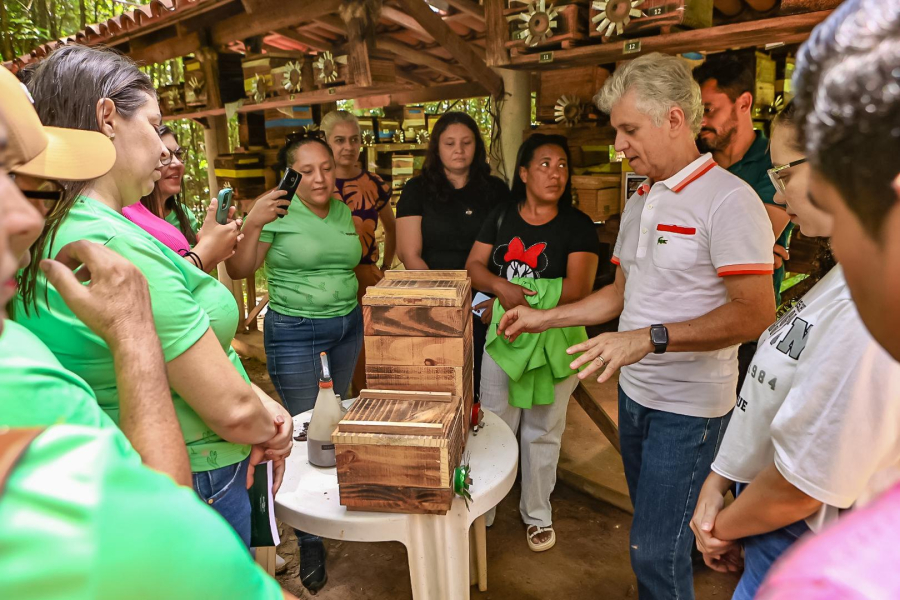 Agricultoras de Jacobina do Piauí participam de intercâmbio para produção de mel de abelhas sem ferrão