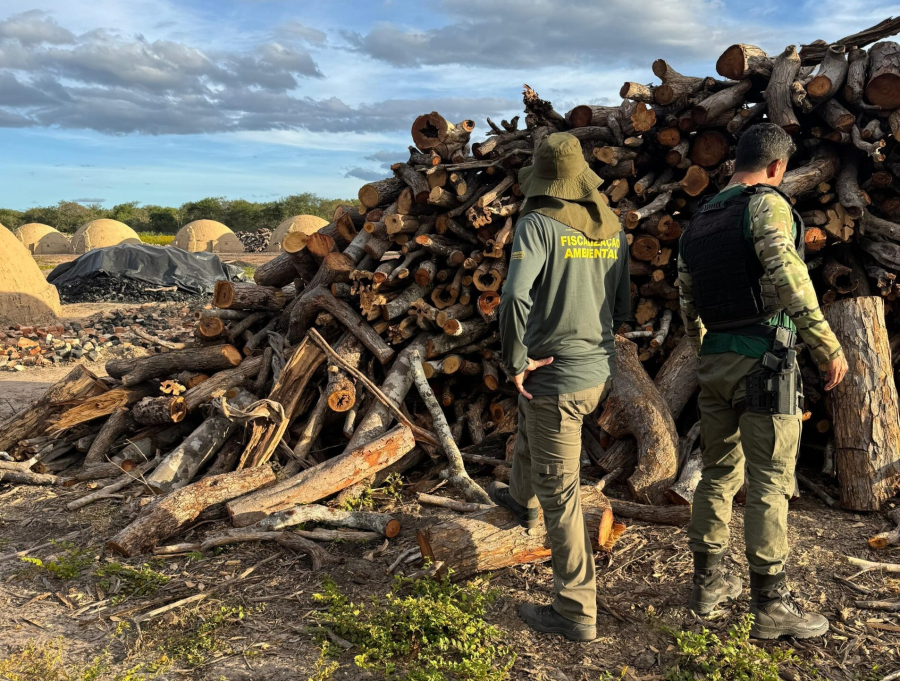 Fiscalização da Semarh identifica irregularidades em carvoarias e áreas de manejo no sul do Piauí. | Fotos: Ascom/Semarh