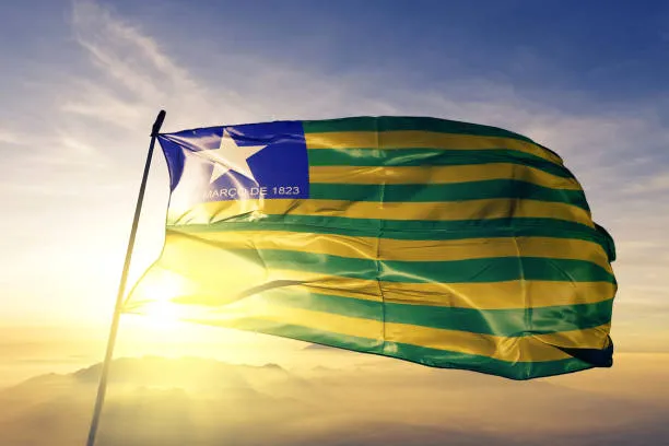 Os 10 prefeitos mais ricos do Piauí, de acordo com patrimônio declarado em 2024; confira