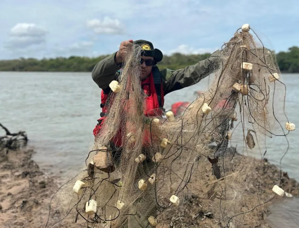 Período de defeso da piracema começa dia 15 de novembro no Piauí; Governo intensifica fiscalização